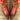 OLD GRINGO Golondrina Bird Floral Red Brown Leather Cowgirl Cowboy Western Boots - Botablu